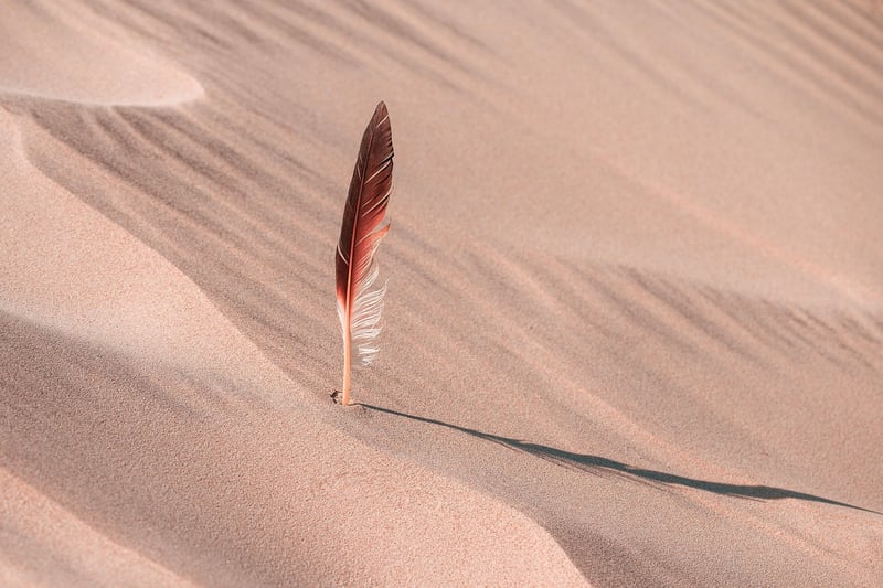 Desert Camping